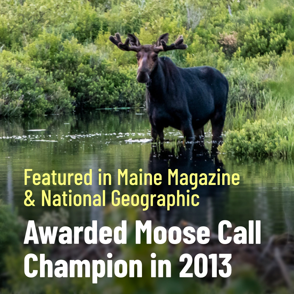 Awarded Moose Call Champion in 2013